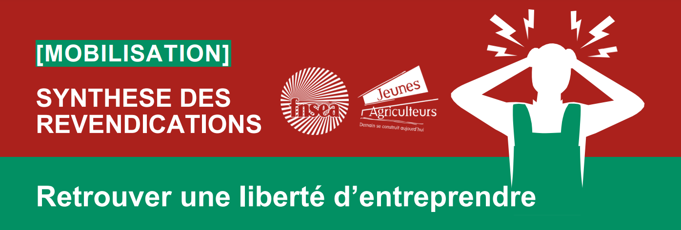 Re)découvrir le chou-fleur  Ministère de l'Agriculture et de la